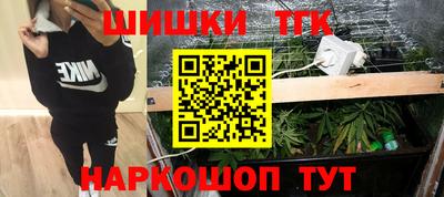 молекула духа Будённовск