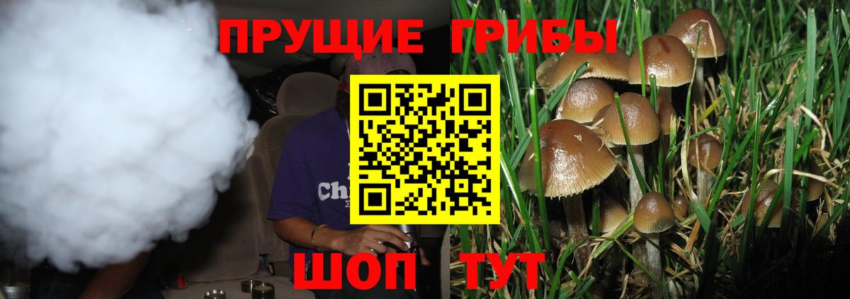 Псилоцибиновые грибы Psilocybine cubensis Комсомольск-на-Амуре